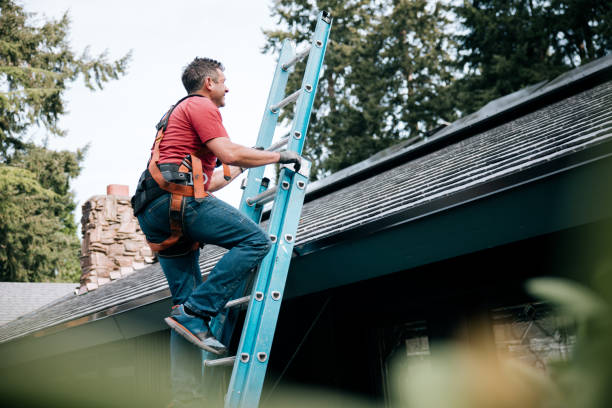 Best Roof Coating and Sealing  in Shackle Island, TN